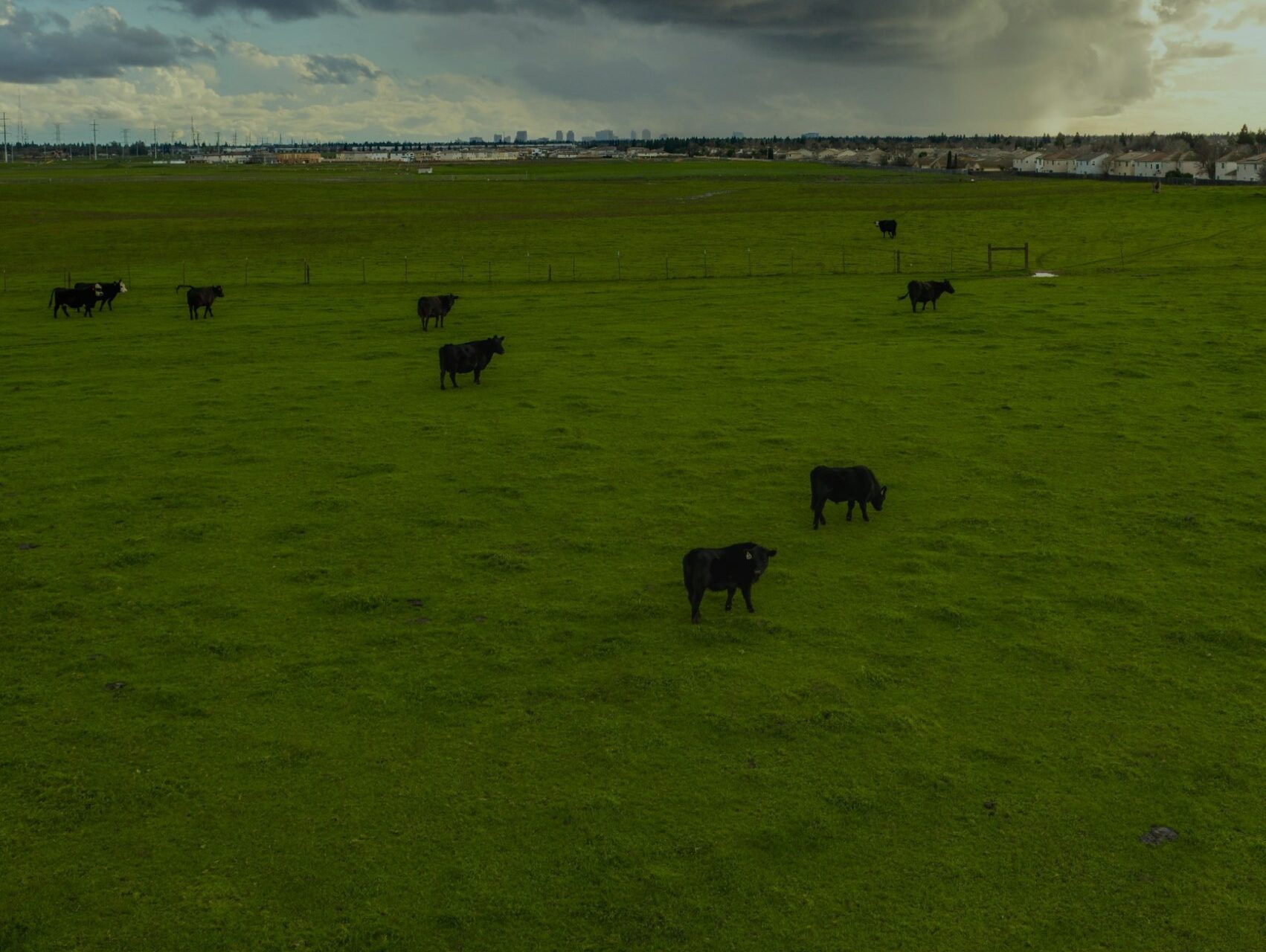 Finca ganadera extensiva bajo un cielo de tormenta, con tratamiento en Verde Agro